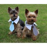 Gentledog kravata pre psov modrá veľkosť oblečenia S