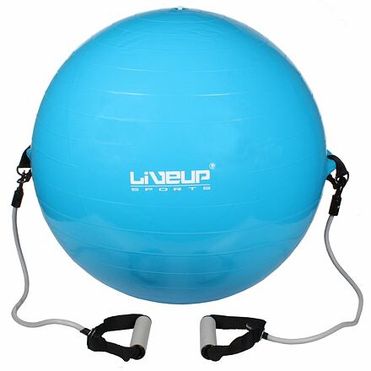 Flex LS3227 gymball s expandery modrá balenie 1 ks